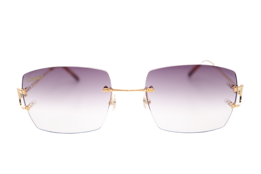 Cartier CT00920 Piccadilly