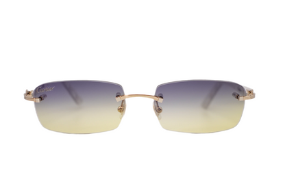 Cartier CT00560 002