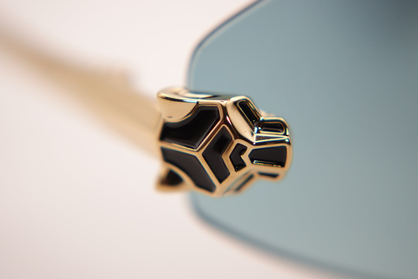 Cartier CT0433S