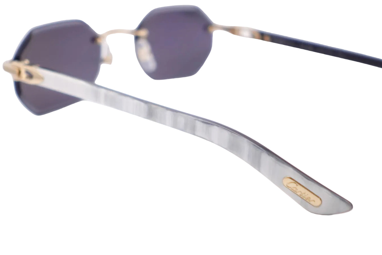 Cartier CT0439S White Buffs