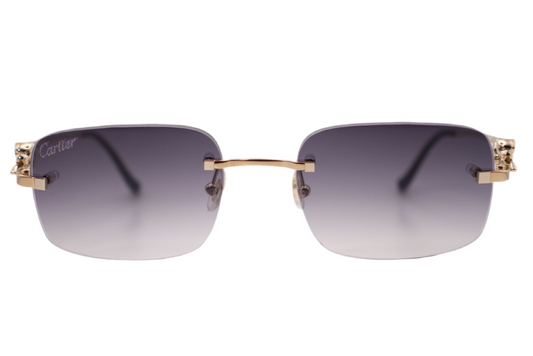 Cartier CT02810